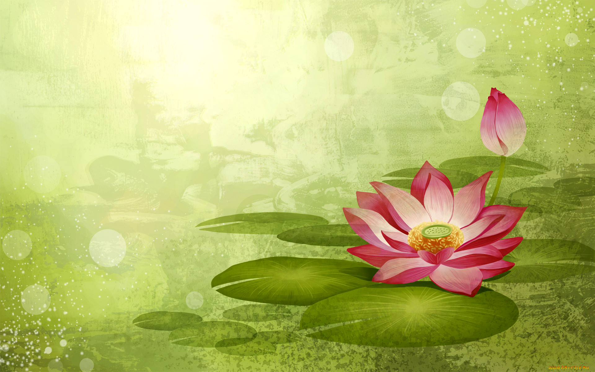  ,  , flowers, , , , 